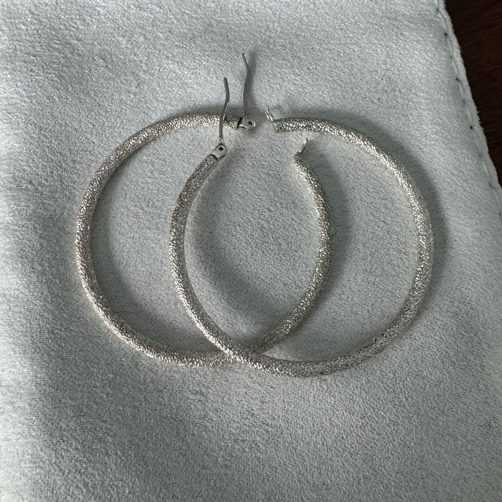 Elegant Silver Hoop Earrings